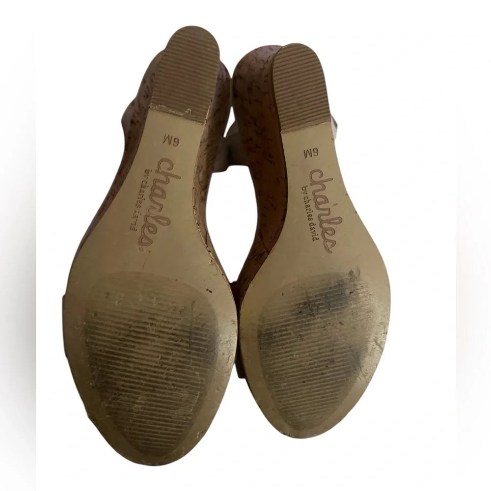 Charles By Charles David Woman's Wedge Sandals Size 6